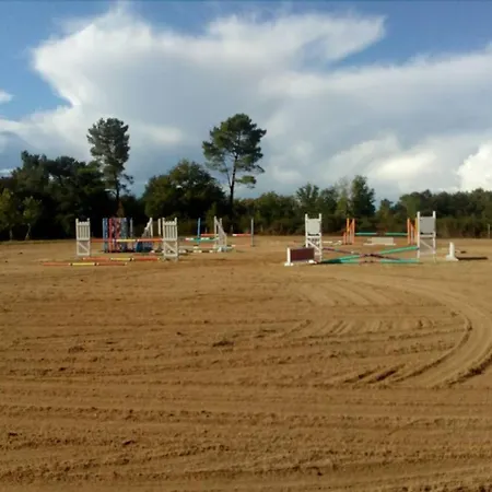 Nocleg ze śniadaniem Les Quatre Vents Montpon-Menesterol