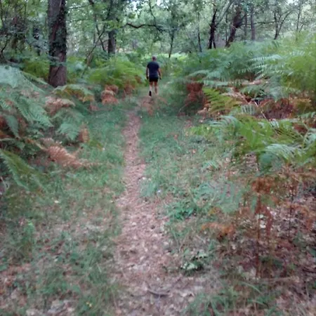 Les Quatre Vents 3*