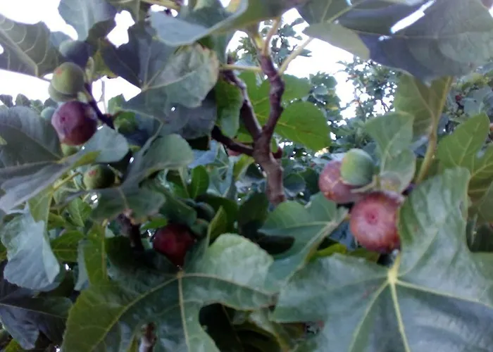 Les Quatre Vents 3* Montpon-Menesterol